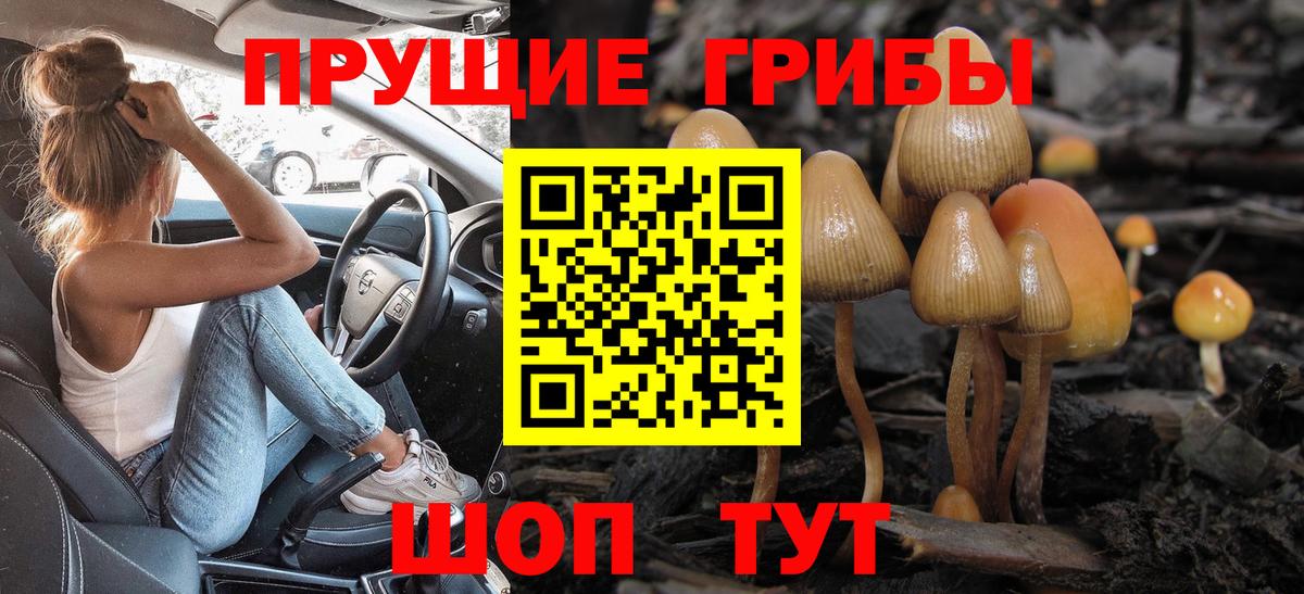 Коряжма  купить  сайты  Вход с VPN  Галлюциногенные грибы мицелий 